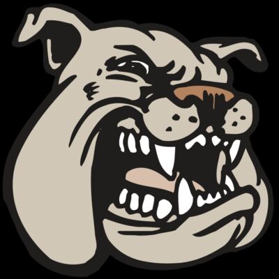 AR BDOG 38 RC Thumbnail