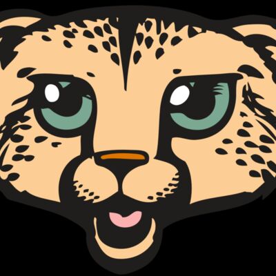 BAW CHEETAH 18 RC Thumbnail