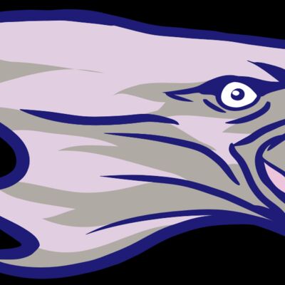 AR15 EAGLE 01 RQC Thumbnail