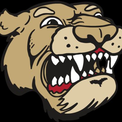 AR5 COUGAR 04 RQC Thumbnail