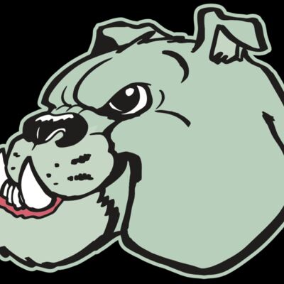 AR BDOG 29 RC Thumbnail