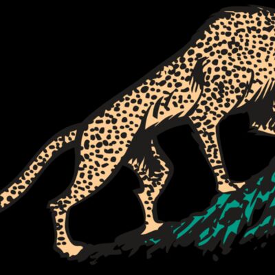 AR CHEETAH 02 RC Thumbnail