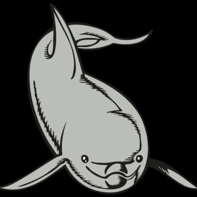 BAW DOLPHIN 02 RC Thumbnail