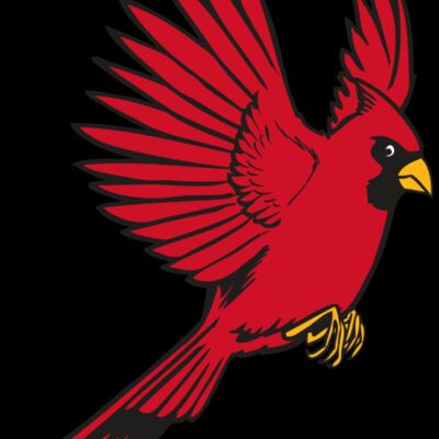 BAW CARDINAL 19 RC Thumbnail