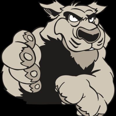 AR5 COUGAR 21 RQC Thumbnail