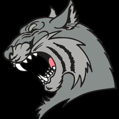 AR WILDCAT 41 RC Thumbnail