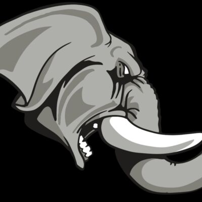 AR ELEPH 20 RC Thumbnail