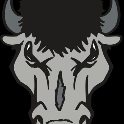 AR BUFFALO 15 RC Thumbnail