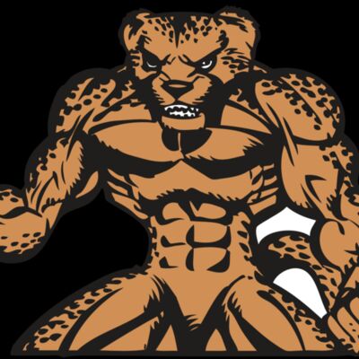 BAW CHEETAH 07 RC Thumbnail