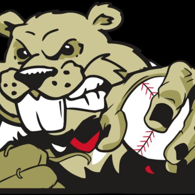 AR4 BEAVER 06 RQC Thumbnail