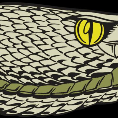 BAW SNAKE 03 RC Thumbnail