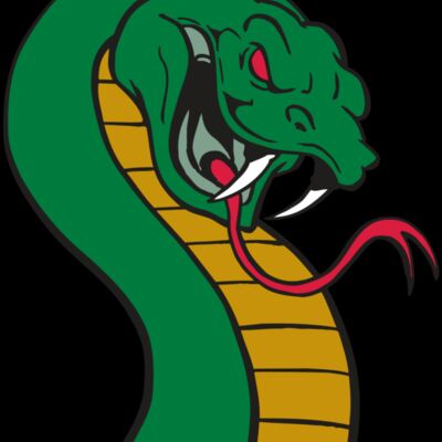 AR SNAKE 12 RC Thumbnail