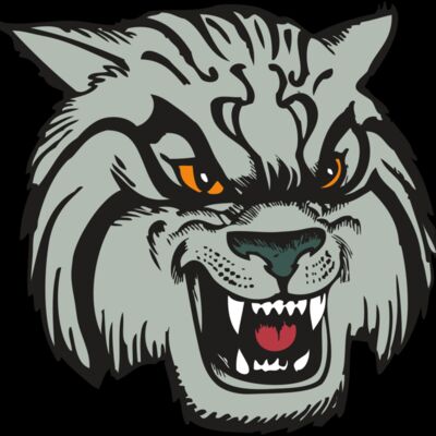 BAW WILDCAT 03 RC Thumbnail