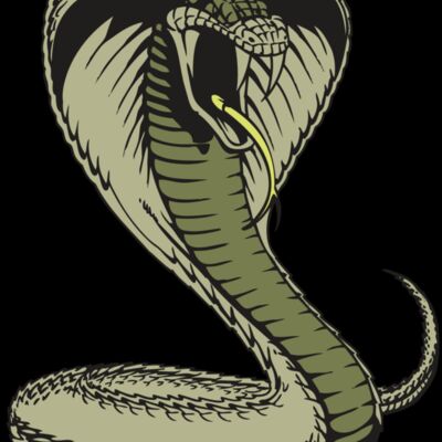 BAW SNAKE 07 RC Thumbnail