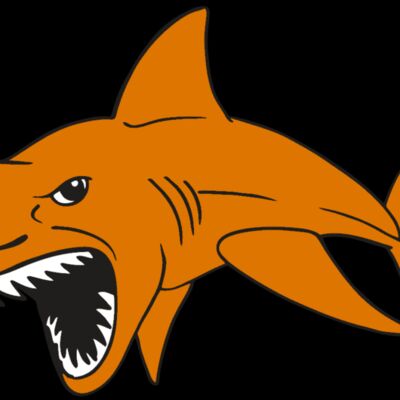 AR  SHARK 20 RC Thumbnail