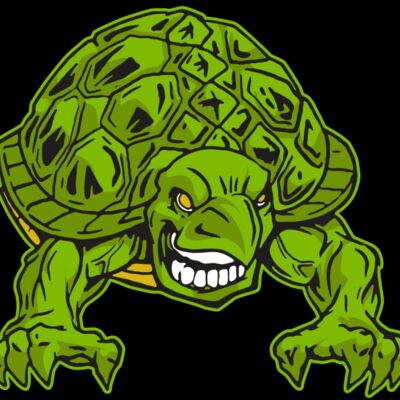 AR31 TURTLE 03 RQC Thumbnail