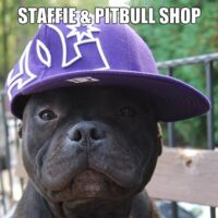 Staffie & Pitbull Shop Thumbnail
